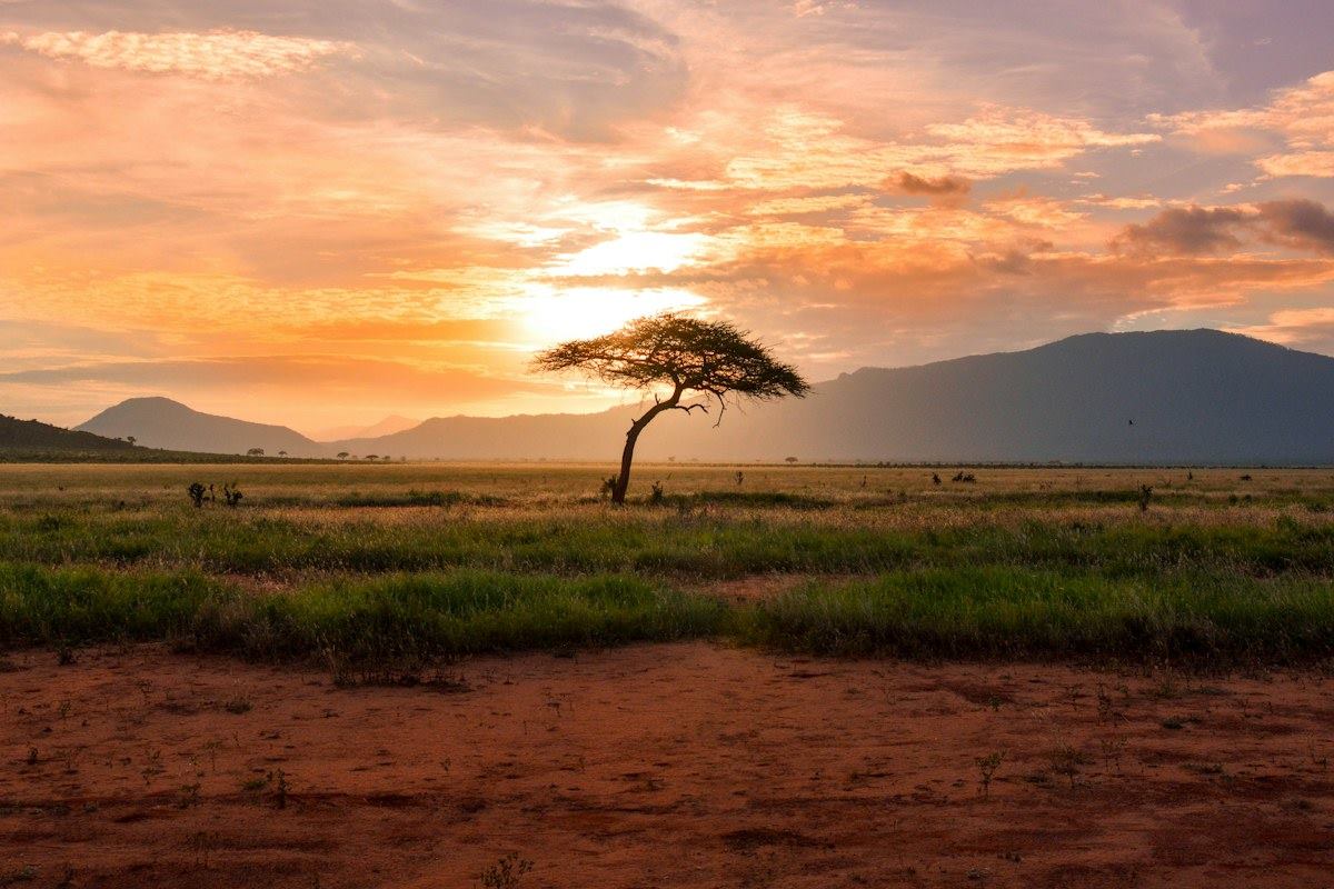 Open African savannah inviting travelers to explore