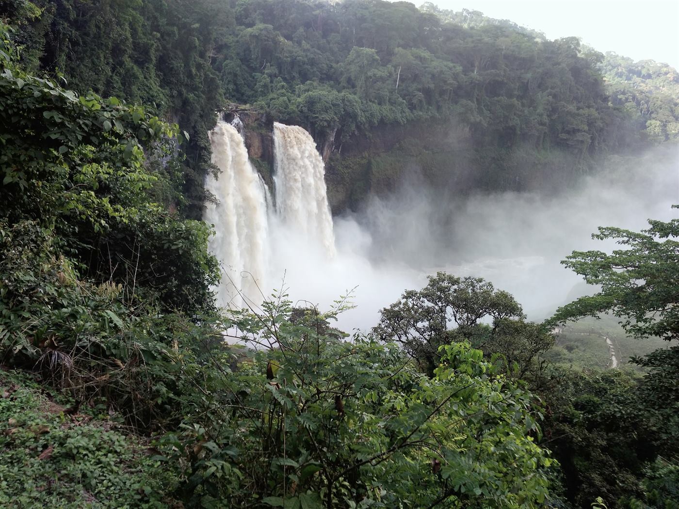 Ekom-Nkam Waterfalls surrounded by forest