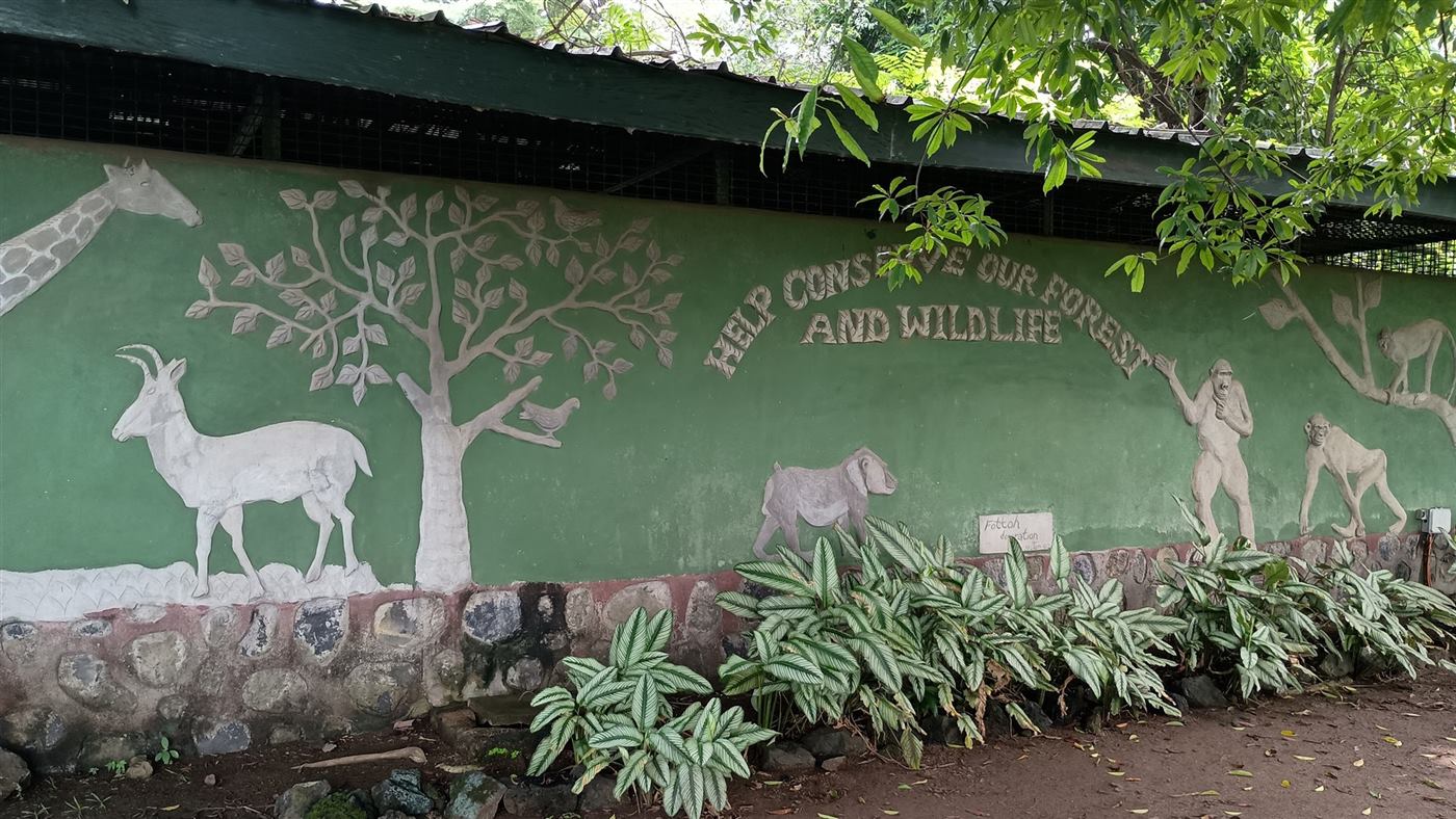 Limbe Wildlife Centre